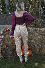 Load image into Gallery viewer, Velvet Joggers
