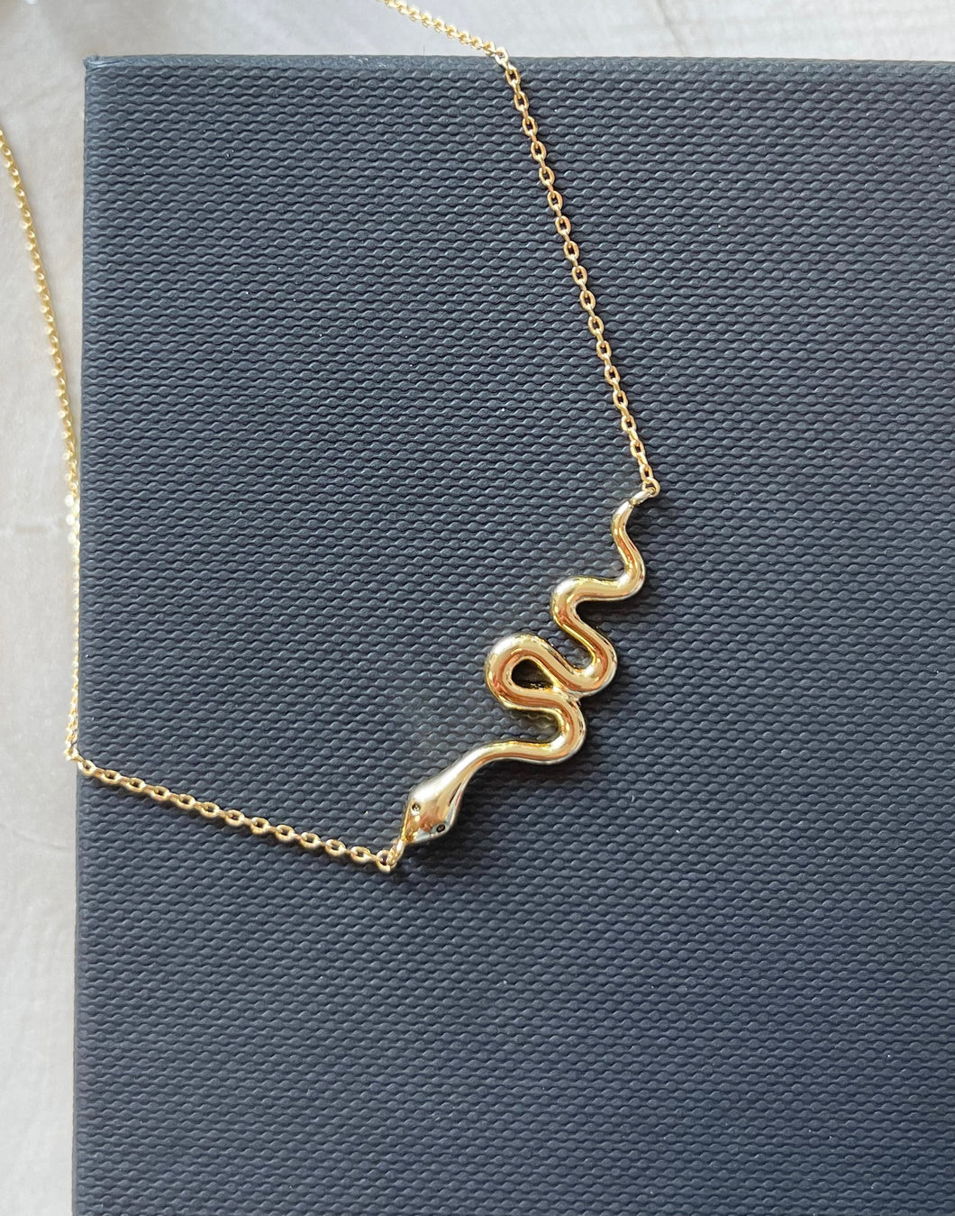 Snake Necklace Gold Dipped