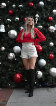 Load image into Gallery viewer, High Waisted Glitter Shorts
