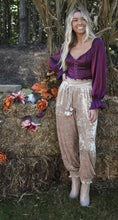 Load image into Gallery viewer, Velvet Joggers
